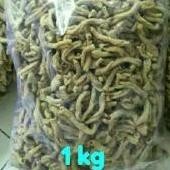 

Ori 1 Kg Keripik Usus Kripik Usus Crispy 1Kg (Bisa Kirim Luar Kota) High Quality