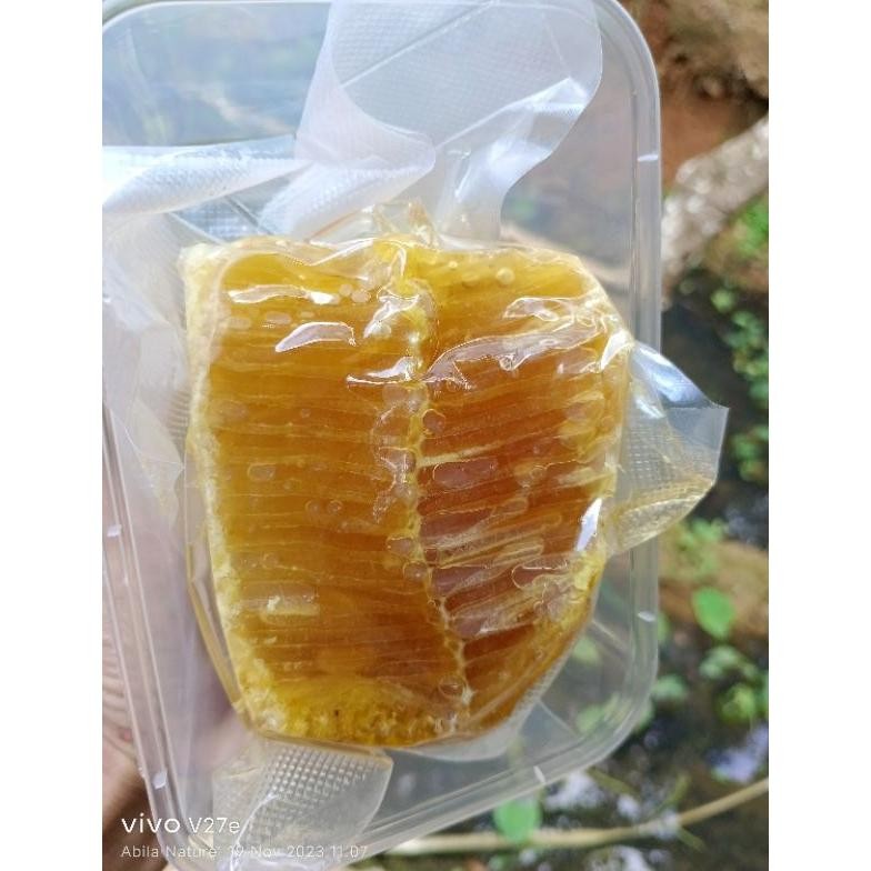 

Terpercaya Madu Sarang Lebah Hutan Liar Madu Abila Nature 1 Kg Murah
