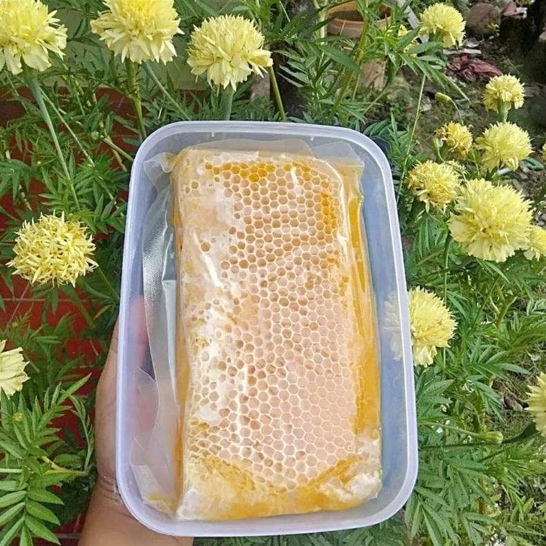 

Sale Madu Sarang Murni/Original/Purehoney/500 Gr Madu Asli Premium