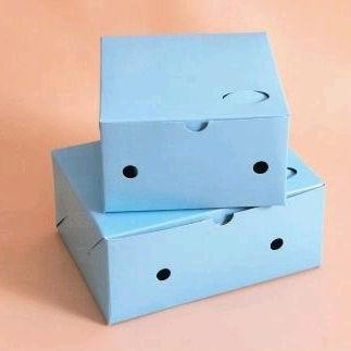 

PROMO Dus Snack Kotak Kue Makanan Kecil Warna 16x12x7 ( 100 pcs ) fx-2