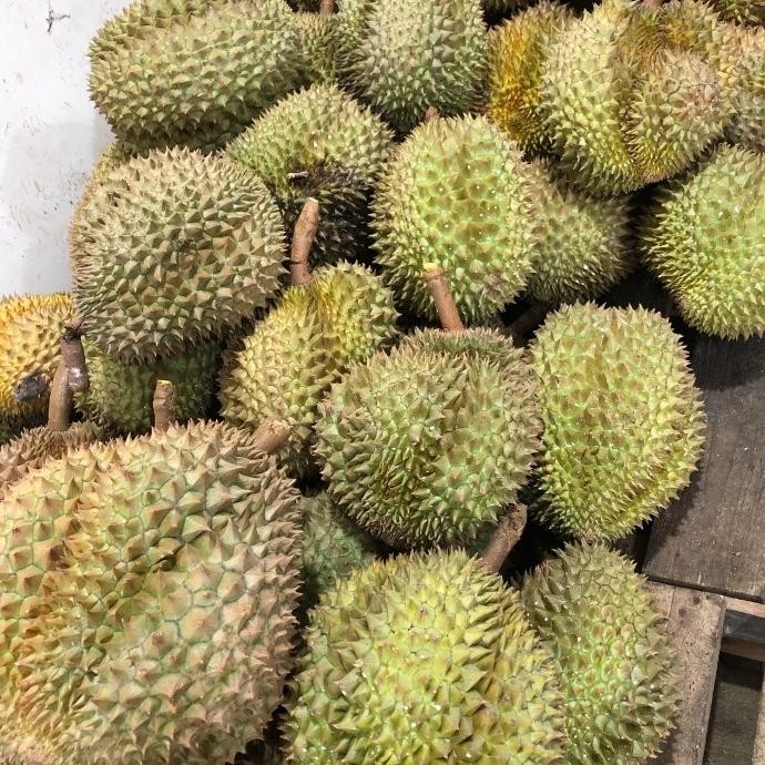 

Durian Monthong Palu Utuh Bulatan Fresh Free Ongkir