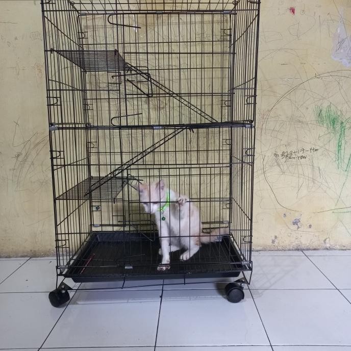 Kandang Kucing Murah Tingkat 3+ Roda