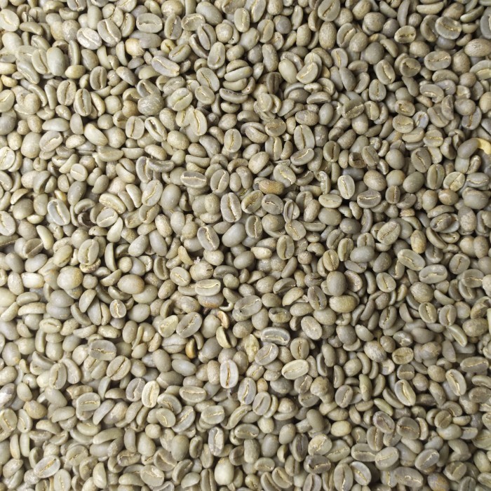 

Green Bean Arabika Flores Bajawa Full Wash / Kopi Mentah - 1 Kg