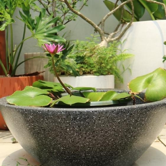 Pot Tanaman Air Teratai/Lotus Terakota D50T20