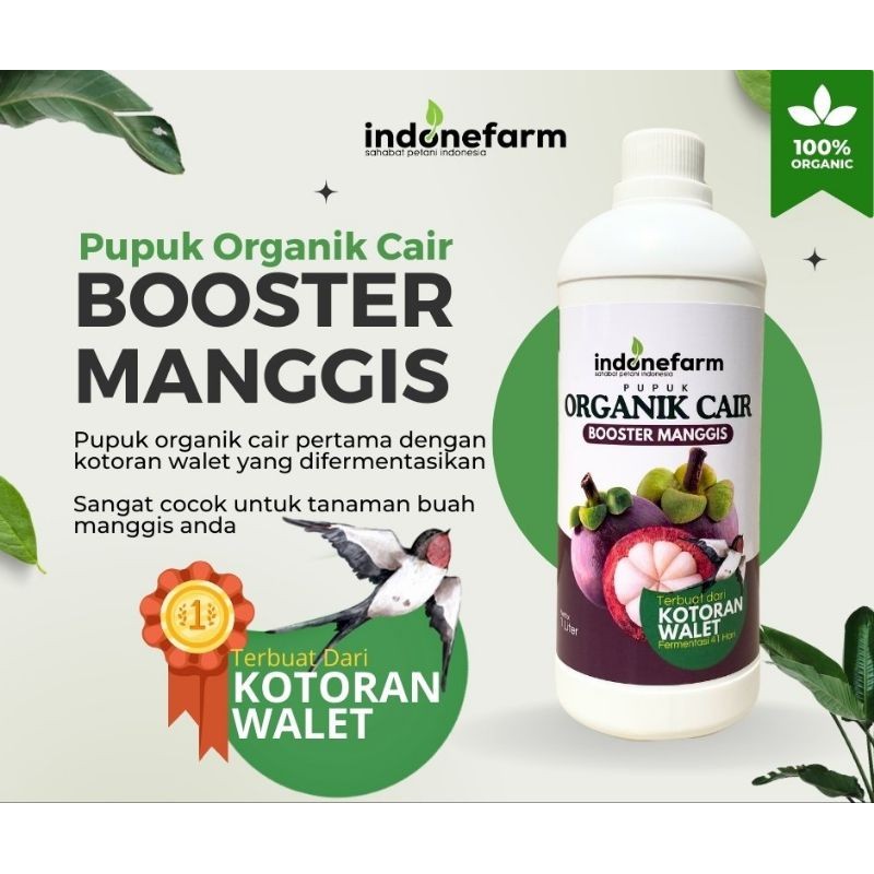 PUPUK KOTORAN WALET | COR ORGANIK BUAH MANGGIS | Terbuat Dari Kotoran Walet Asli | Fermentasi 41 Har