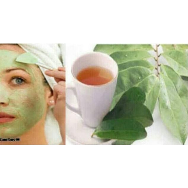 

Aman Terbaik Terbaru Daun Sirsak Segar Non Kimia Daun Herbal Premium Premium