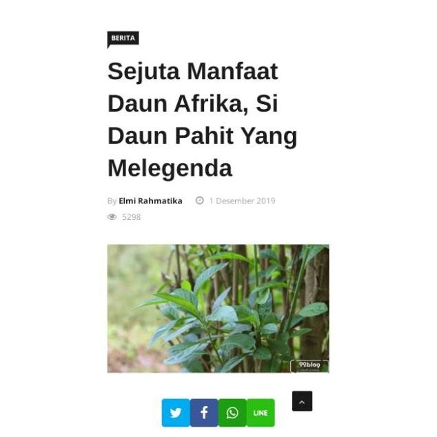 

Diskon Spesial Termurah Daun Afrika Segar Obat Herbal Teh Cina Daun Herbal Asli Kalimantan Racun Shopee
