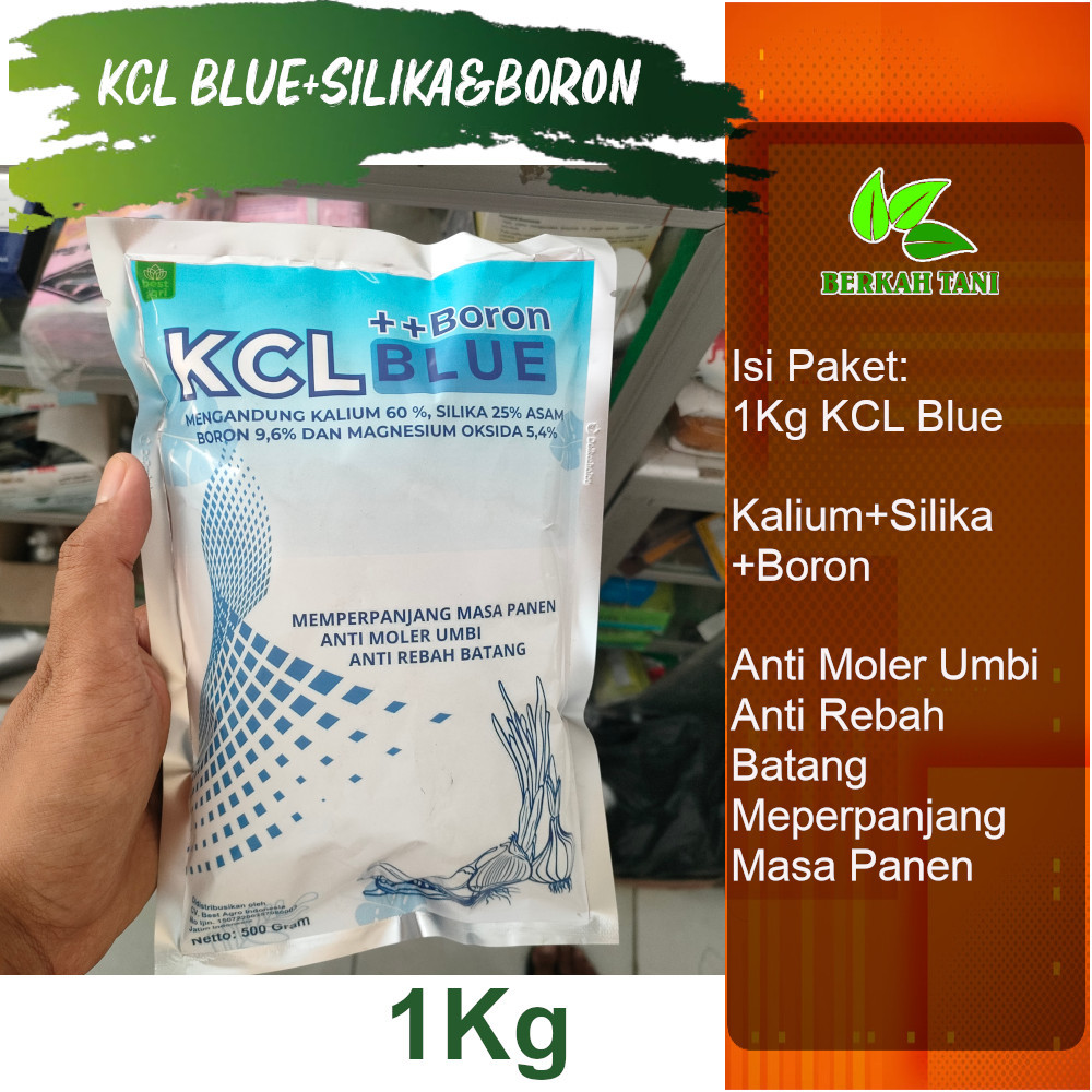 KCL Blue plus Boron 1 Kg Pupuk Kalium Silika plus Boron