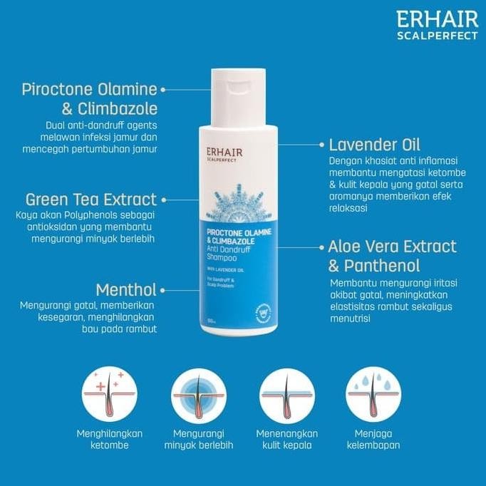 ERHA ERHAIR Scalperfect Shampoo 370 ml - Shampo Anti Ketombe, Dandruff