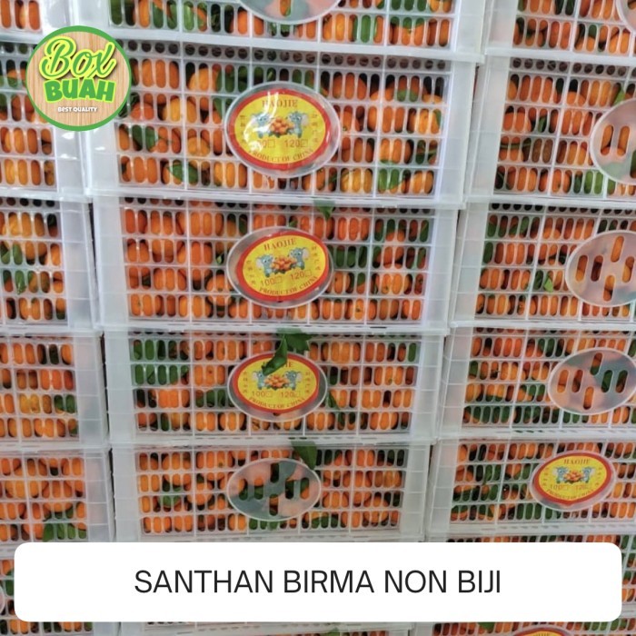 

Santang Birma madu non biji fresh manis 1 krat