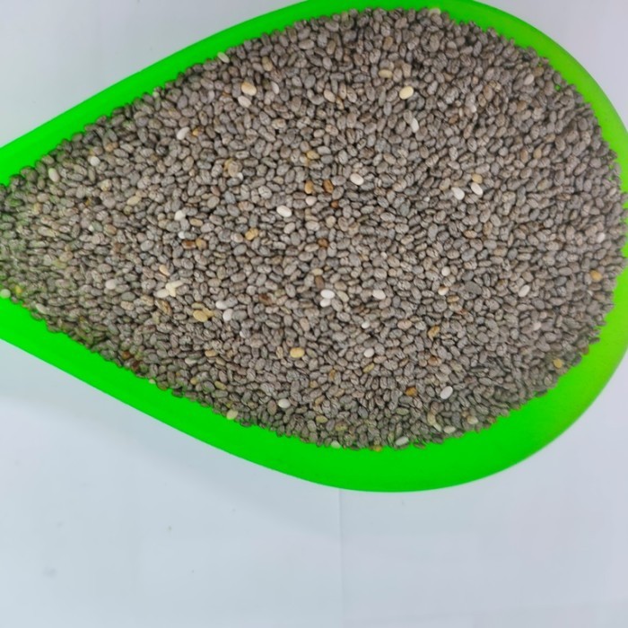 

3 Kg Biji Chia Hitam Organik I Organic Black Chia Seeds