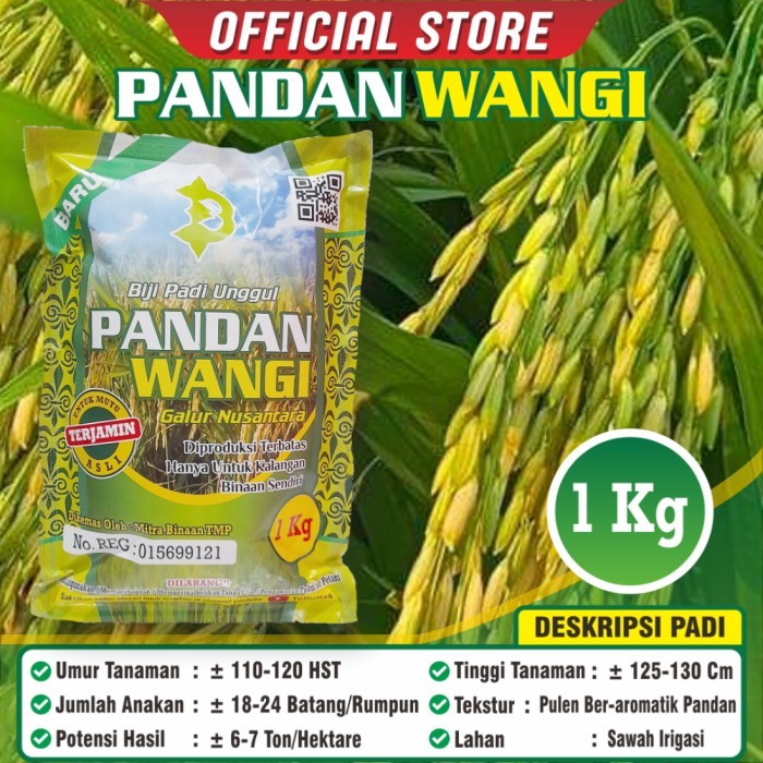 arr Bibit Padi Pandan Wangi