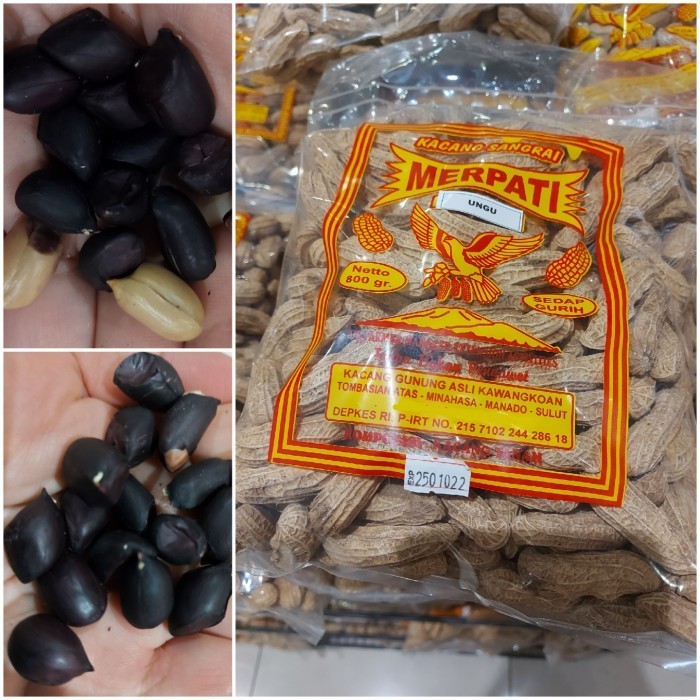 

Merpati Kacang UNGU / Hitam Besar 800 gram Asli khas Kawangkoan Manado