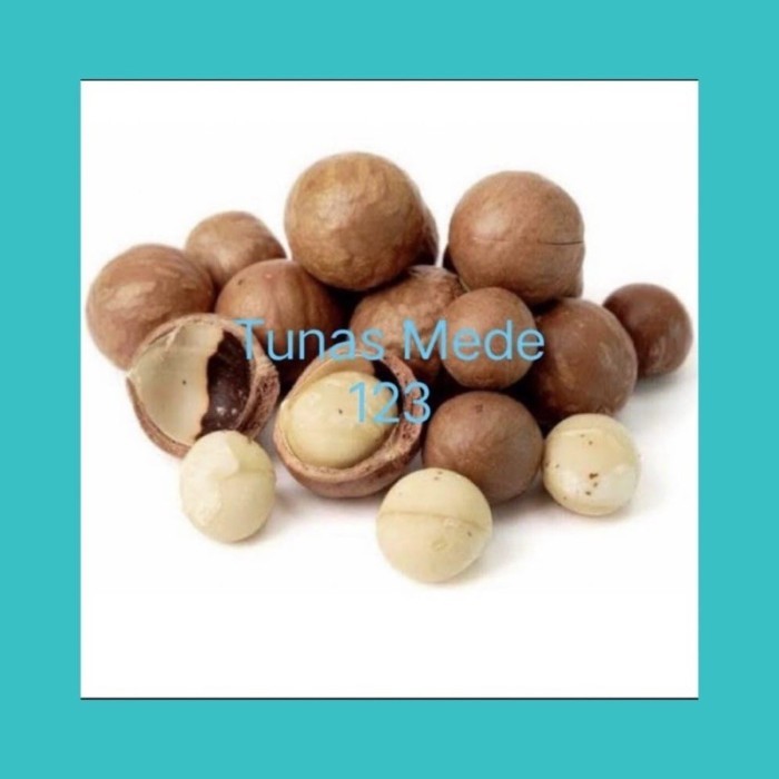 

Dijual kacang macadamia matang panggang 1 kg Diskon