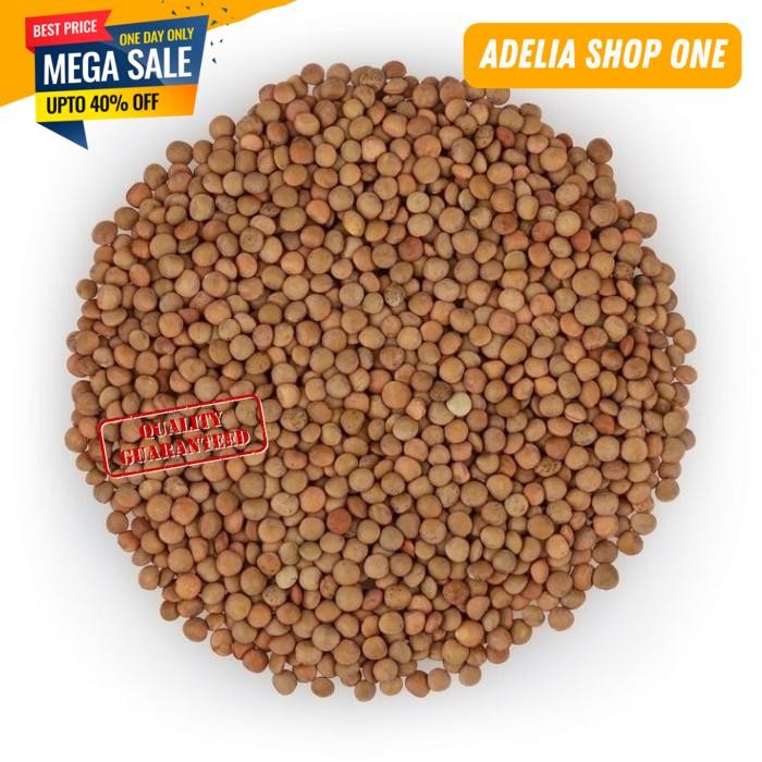 

BROWN LENTIL 1 KG LENTIL COKLAT 1 KG HALAL DAN BERKUALITAS REKOMENDASI!!!