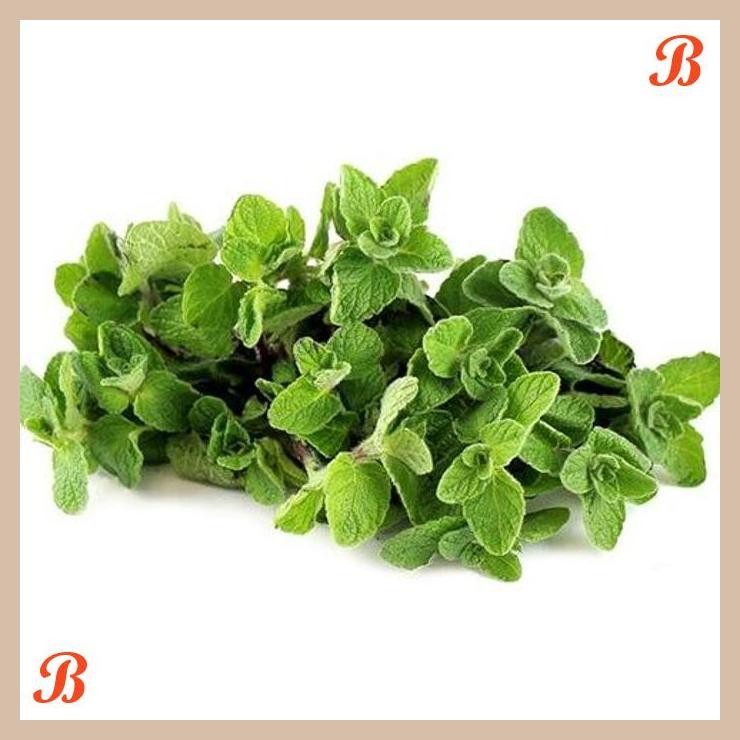 

| NN | OREGANO ORGANIK 50GR