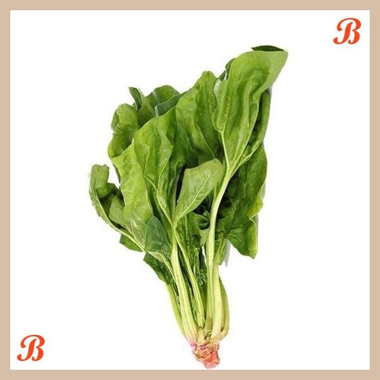 

| NN | HORENSO / HORENZO / BAYAM JEPANG ORGANIK 200GR