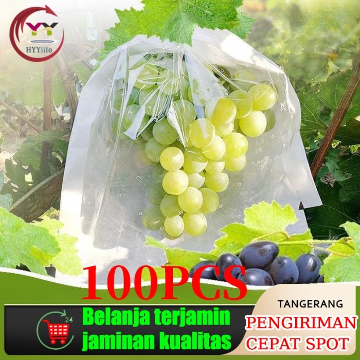 FRUIT COVER TRANSPARAN/PEMBUNGKUS BUAH TEMBUS PANDANG FRUIT COVER