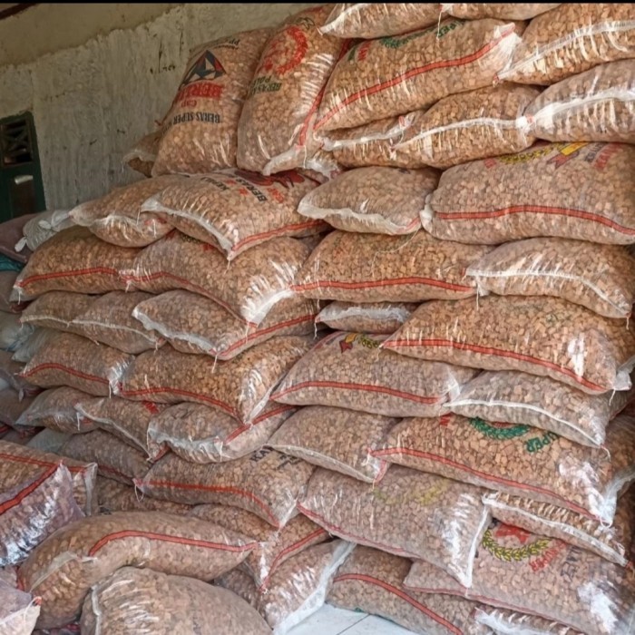 COCO CHIPS MEDIA TANAM/KELAPA/SABUT KELAPA KOTAK/ALAS KANDANG REPTIL