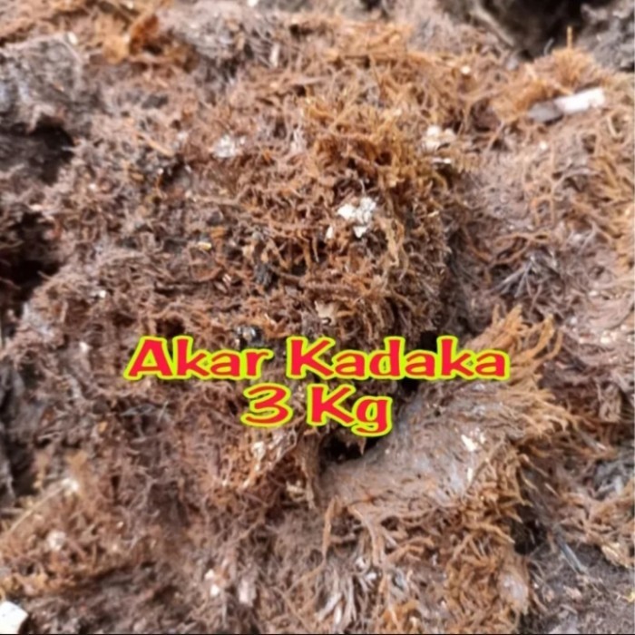 (3KG) MOS HITAM AKAR KADAKA/MEDIA TANAM CANGKOK/MEDIA TANAM ANGGREK