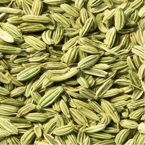 

Produk Terbaik] BB FENNEL SEEDS 100GM