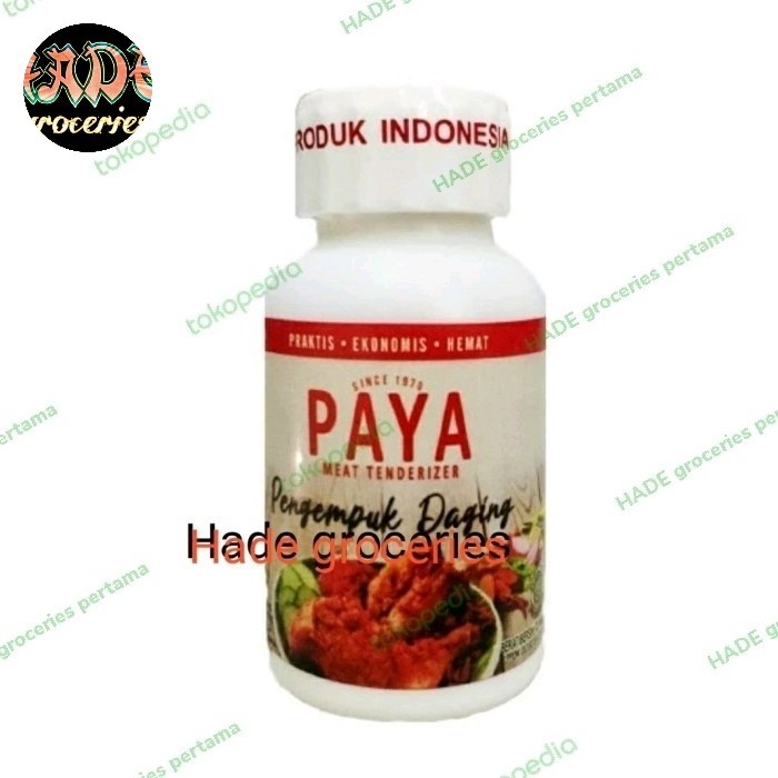 

Bya - Pengempuk Daging Paya 70Gr Tenderizer