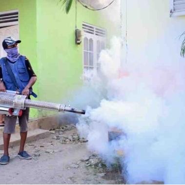 Jasa Fogging Nyamuk Dbd
