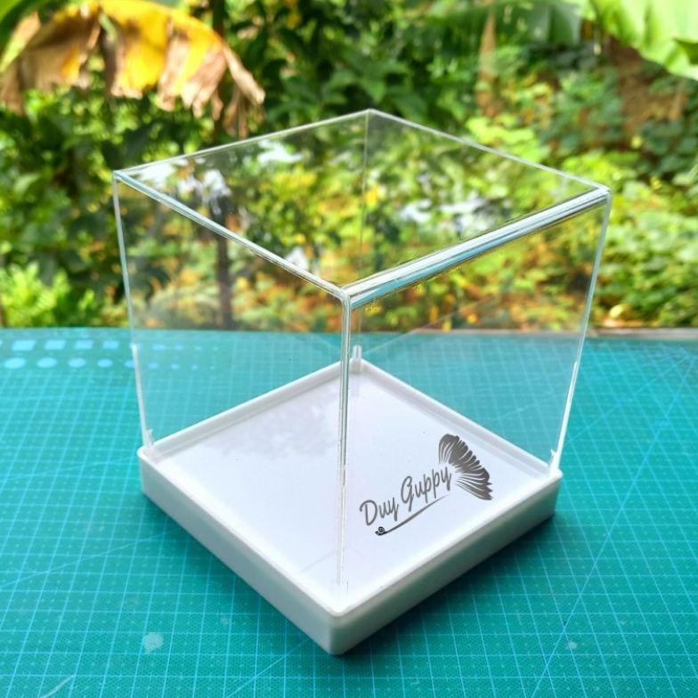 

LI34 box display/kotak mahar akrilik, base putih Original