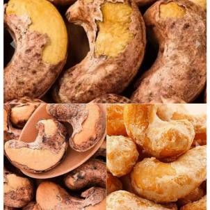 

Kacang Mede Panggang Arang China | Vietnam PREMIUM QUALITY (biji utuh)