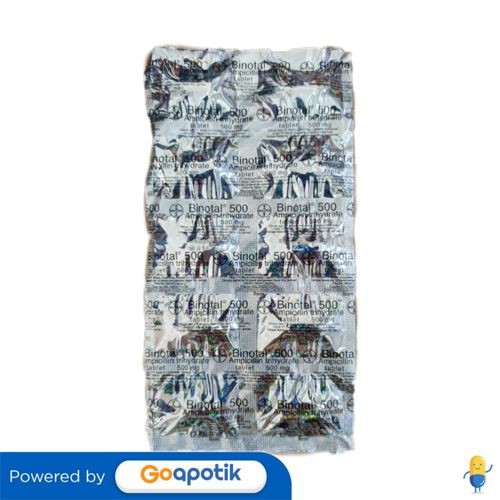 BINOTAL 500 MG STRIP 10 TABLET