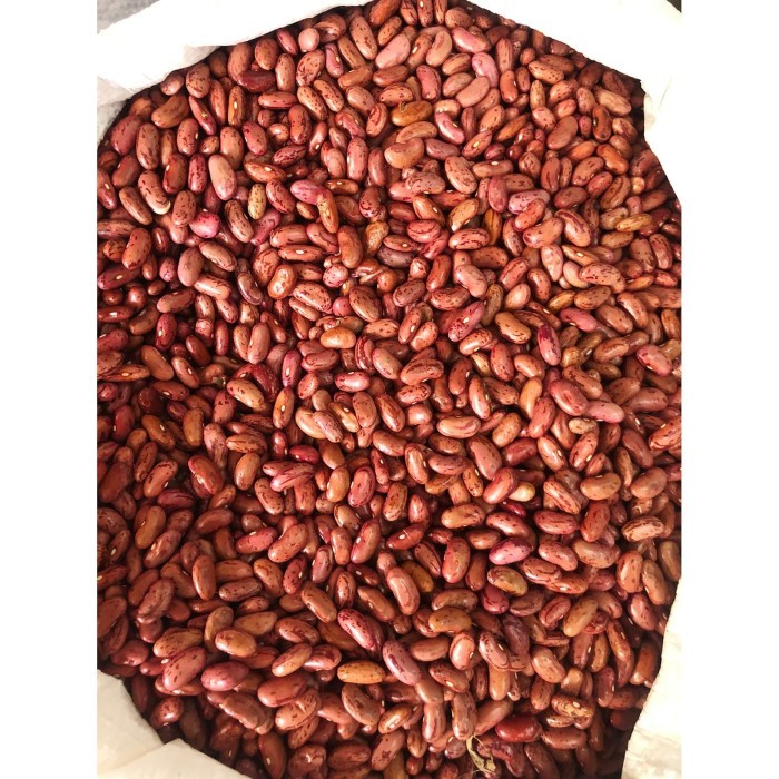 

Terbaru Kacang Merah Import 1 Kg