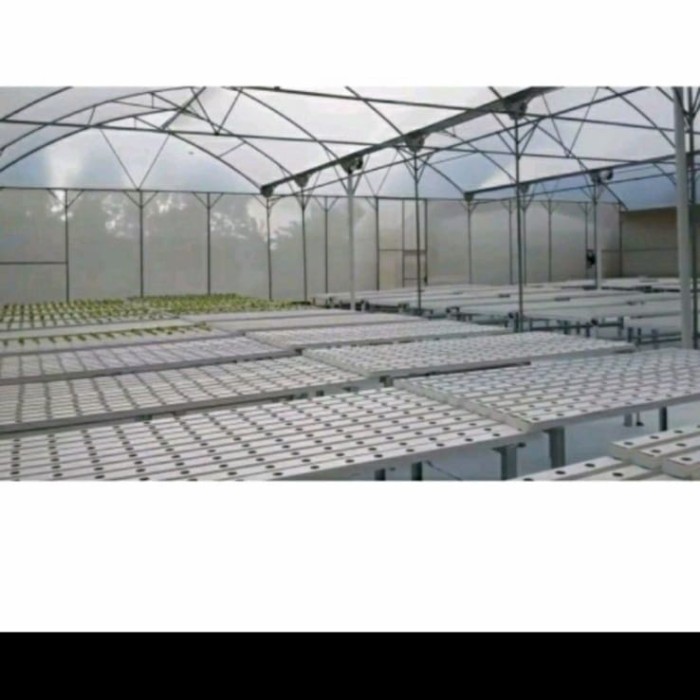

plastik uv lebar 3meter x panjang 15 meter 200 micron 14%