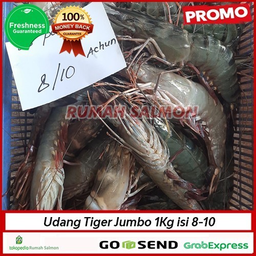 

Udang Tiger Pancet Super Jumbo Size 8-10 / Windu Besar Segar-Fresh 1Kg