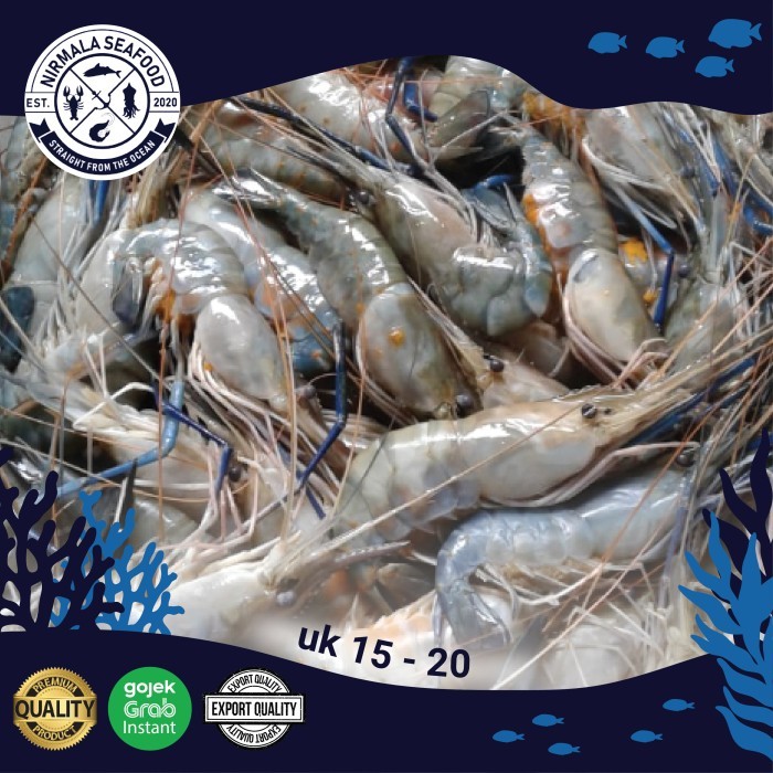 

Udang Galah Fresh/Frozen Uk 15-20