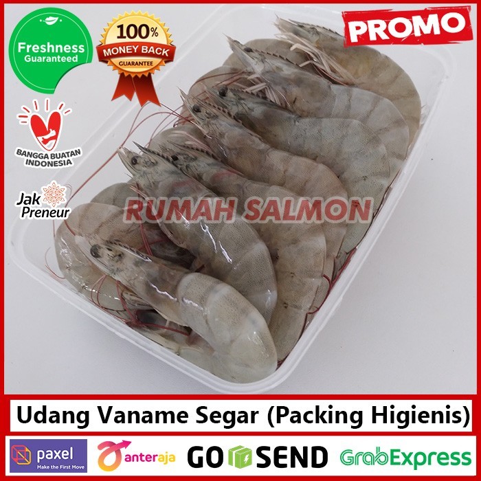 

Udang Vaname Segar 1Kg Sz 40-50 / Vannamei Tambak / Super Fresh