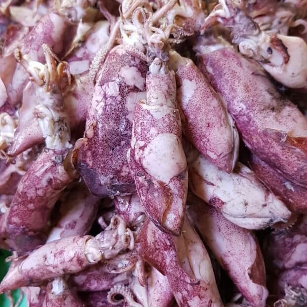 

Cumi Telor Super 1Kg