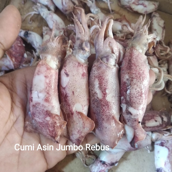 

Cumi Asin / Cumi Asin Jumbo / Cumi Asin Ukuran Besar Super 500 Gram