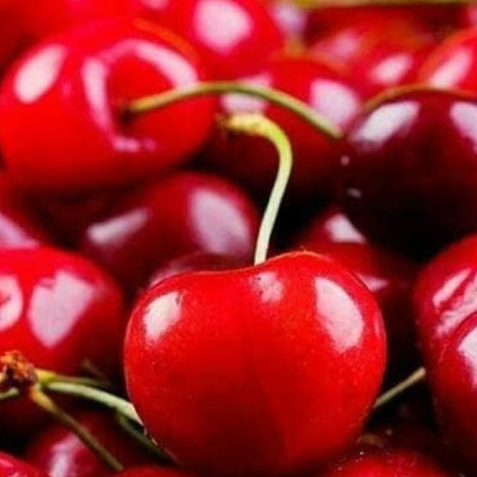 Bibit Tanaman Buah Cherry Jepang Blossom Berbunga at Berbuah LZ MANTEP