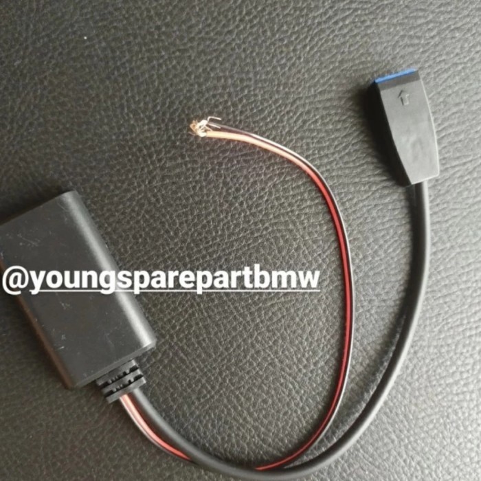 Promo Module Bluetooth Head Unit Business Bmw E46 E39 E53 Hu Bisnis