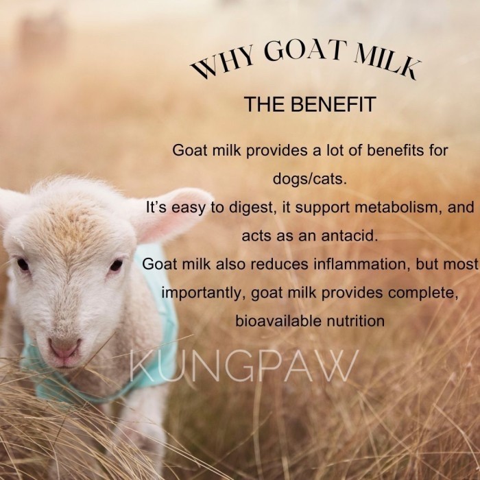 Goat Milk / Susu Kambing Anjing Puppy / Susu Kambing Bubuk Anjing