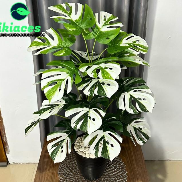 Daun Monstera Jumbo Variegata Artificial 1 Meter Daun Plastik Dekorasi