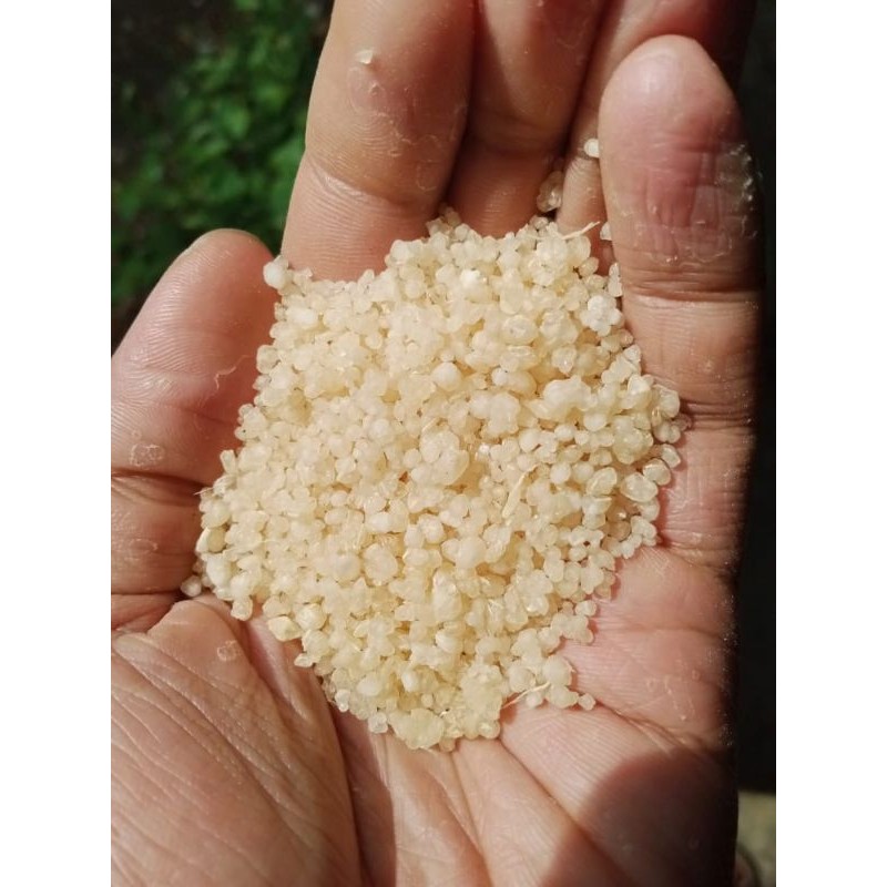 

Beras instan tiwul oyek makanan khas kebumen