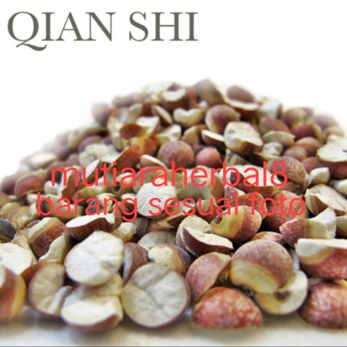 

1Kg Qian Shi Premium / Euryale Seed / Fox Nut Seeds / Kiam Sip Terbaik