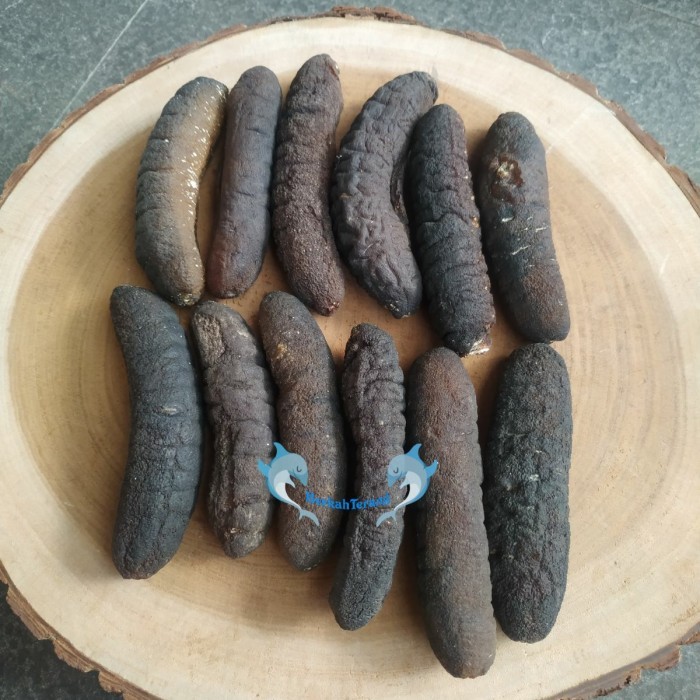 

Haisom/ Teripang / Lintah Laut/ Sea Cucumber Asli Belitung Isi 10 500G Barangbaru