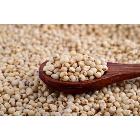 

Beras Putih Shorgum 1Kg / Sorghum / Sorgum Terlaris