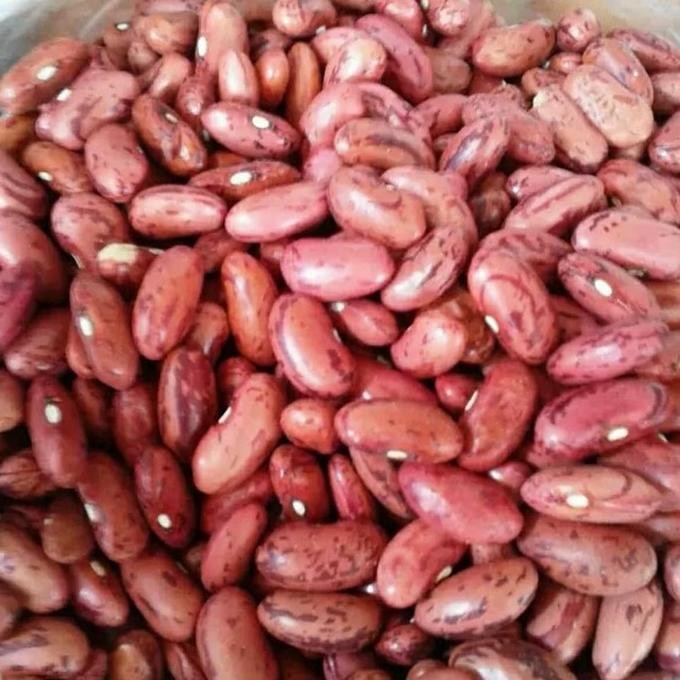 

Kacang Merah / Red Bean / Red Kidney Bean - 1Kg Terlaris