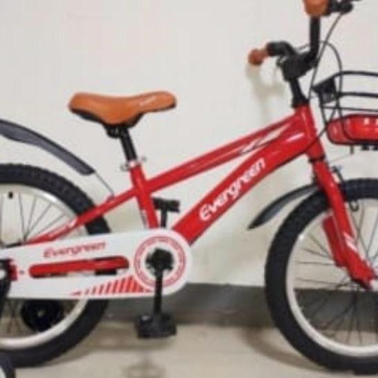 Sepeda Anak Evergreen E D-23 Keranjang Ve Alloy