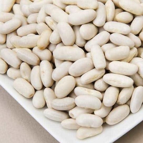 

Cannellini Bean / Kacang Buncis 1 Kg Terlaris