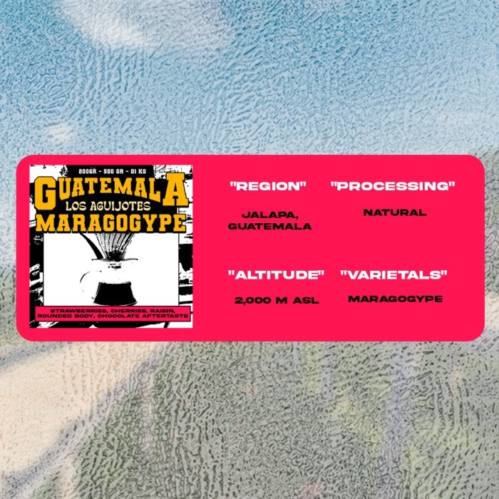 

Biji Kopi Arabika - Guatemala Maragogype Los Aguijotes - 1 Kg