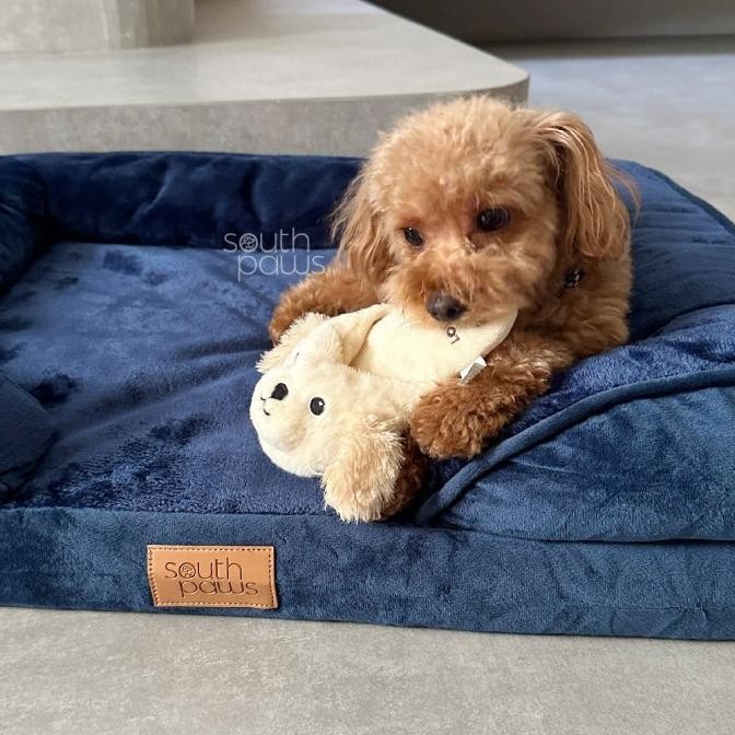 Southpaws - Orthopedic Pet Bed